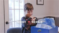 Lysol Teddy Repair