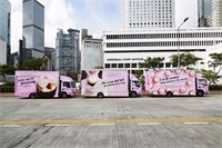 The cUUpcakes