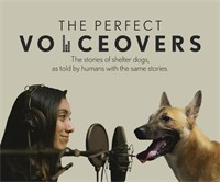 The Perfect Voiceovers